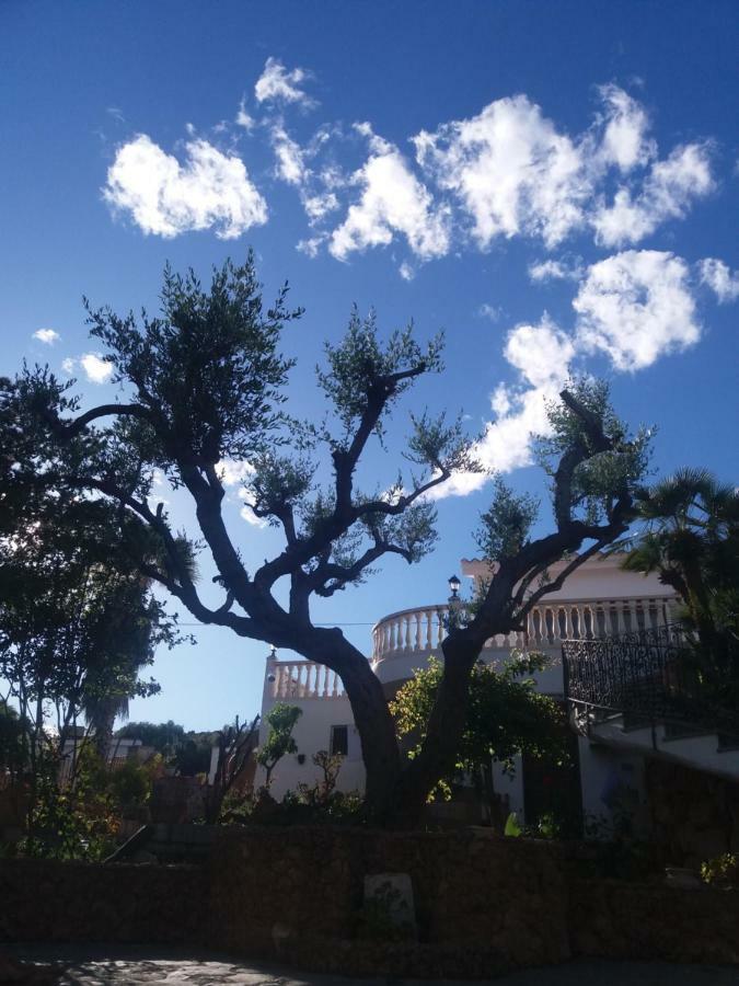 La Maravilla Peñíscola Εξωτερικό φωτογραφία